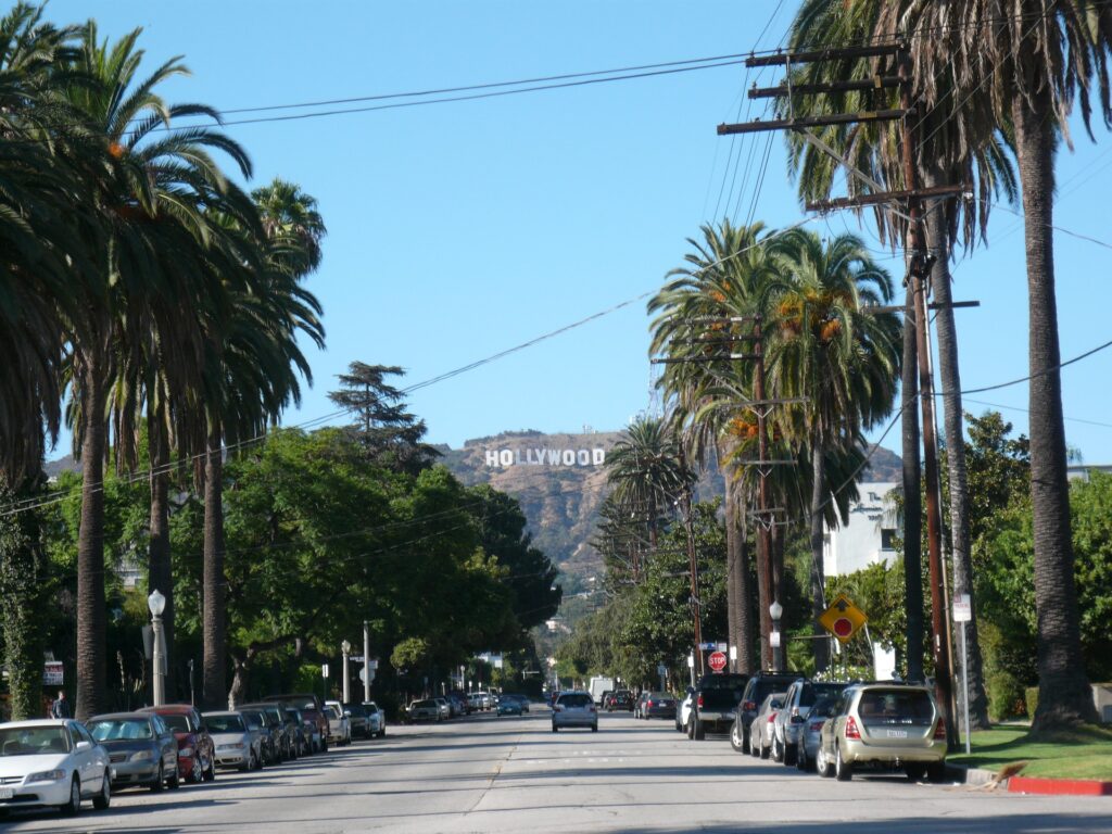 Hollywood street with palm trees